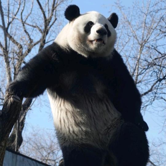 喂？听见吗？