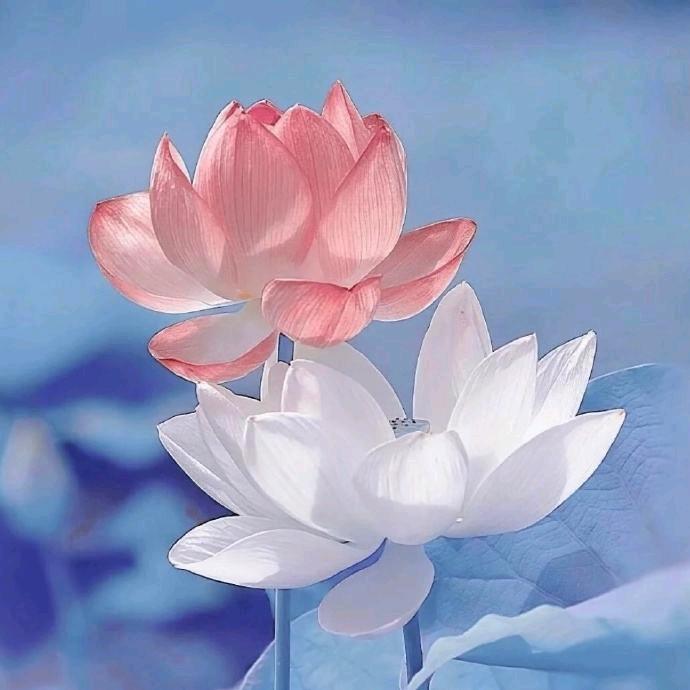 浅时光