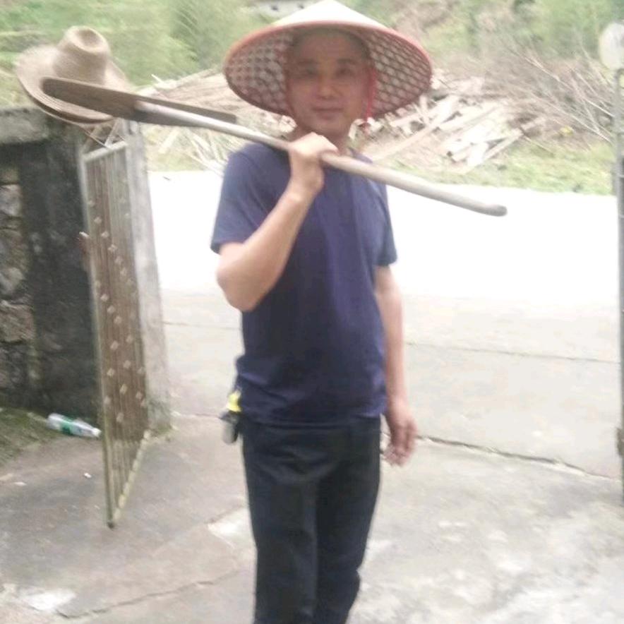 阿蒙