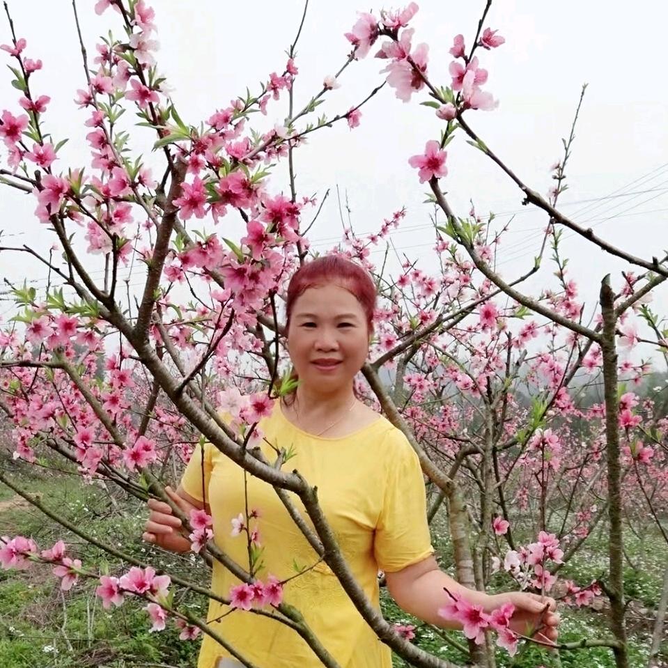 快乐🌻