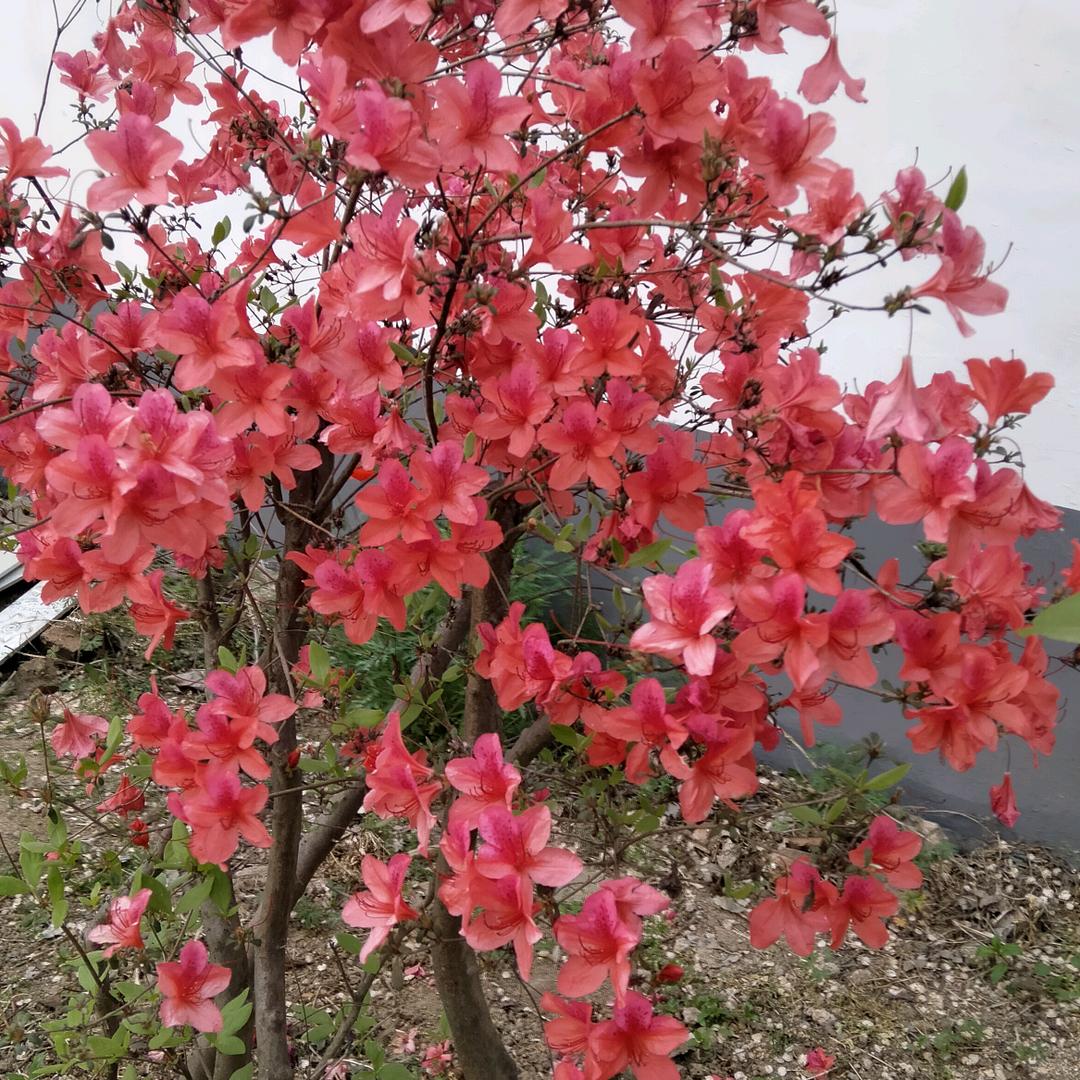 🕊এ᭄心心꧔ꦿ᭄相尹💞²⁰²³