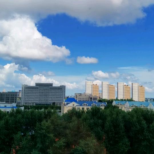 双子行星⁰²¹⁹🐒