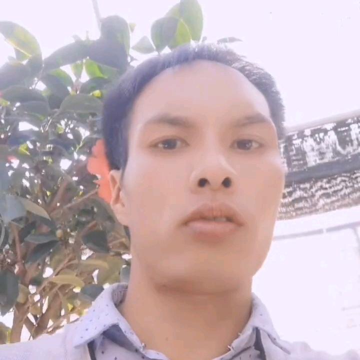 马飞