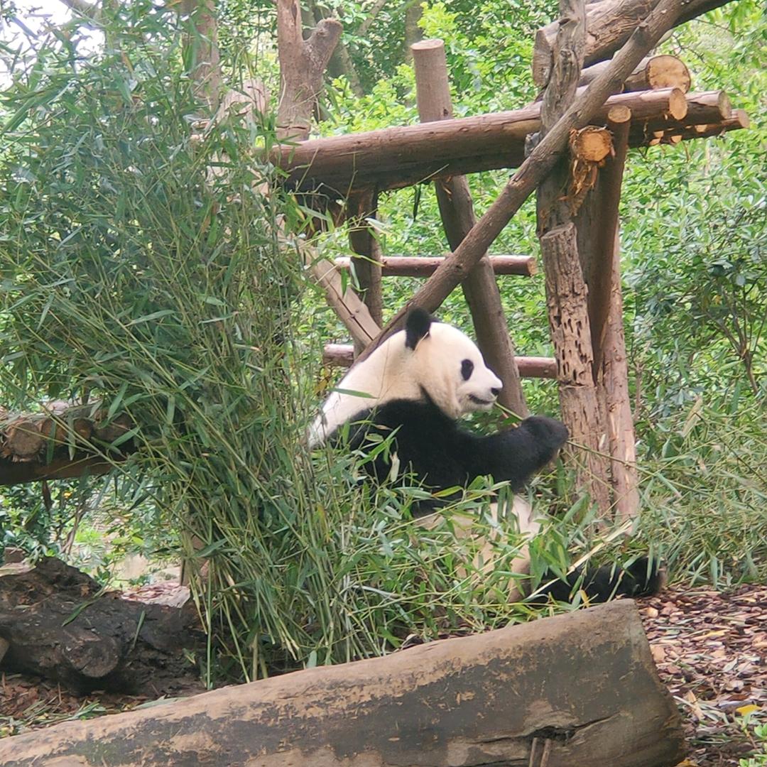 ─=≡Σ((( つ•̀ 3 •́)つ宝