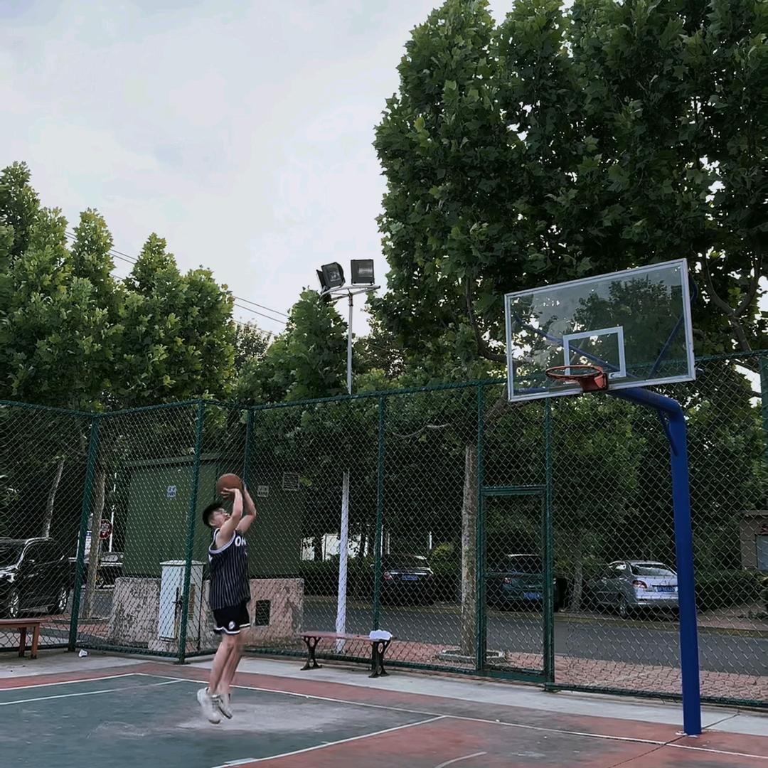 小杜的农场日记