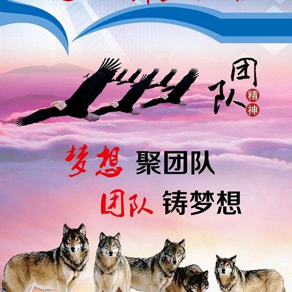 刚起步的鸟
