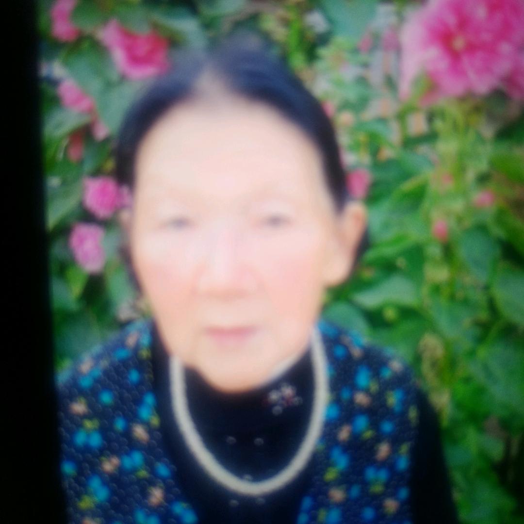 老来乐