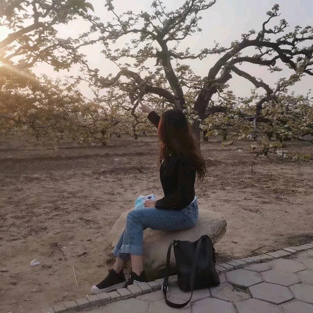 林公子✺◟(∗❛ัᴗ❛ั∗)◞✺