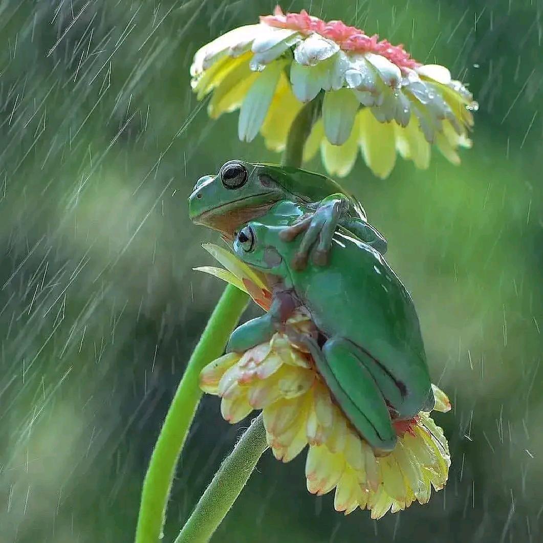 春风伴影