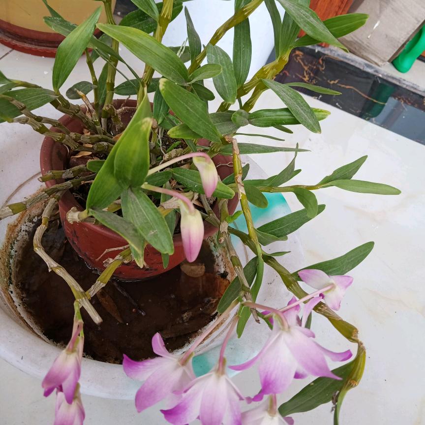 我的未来就是你