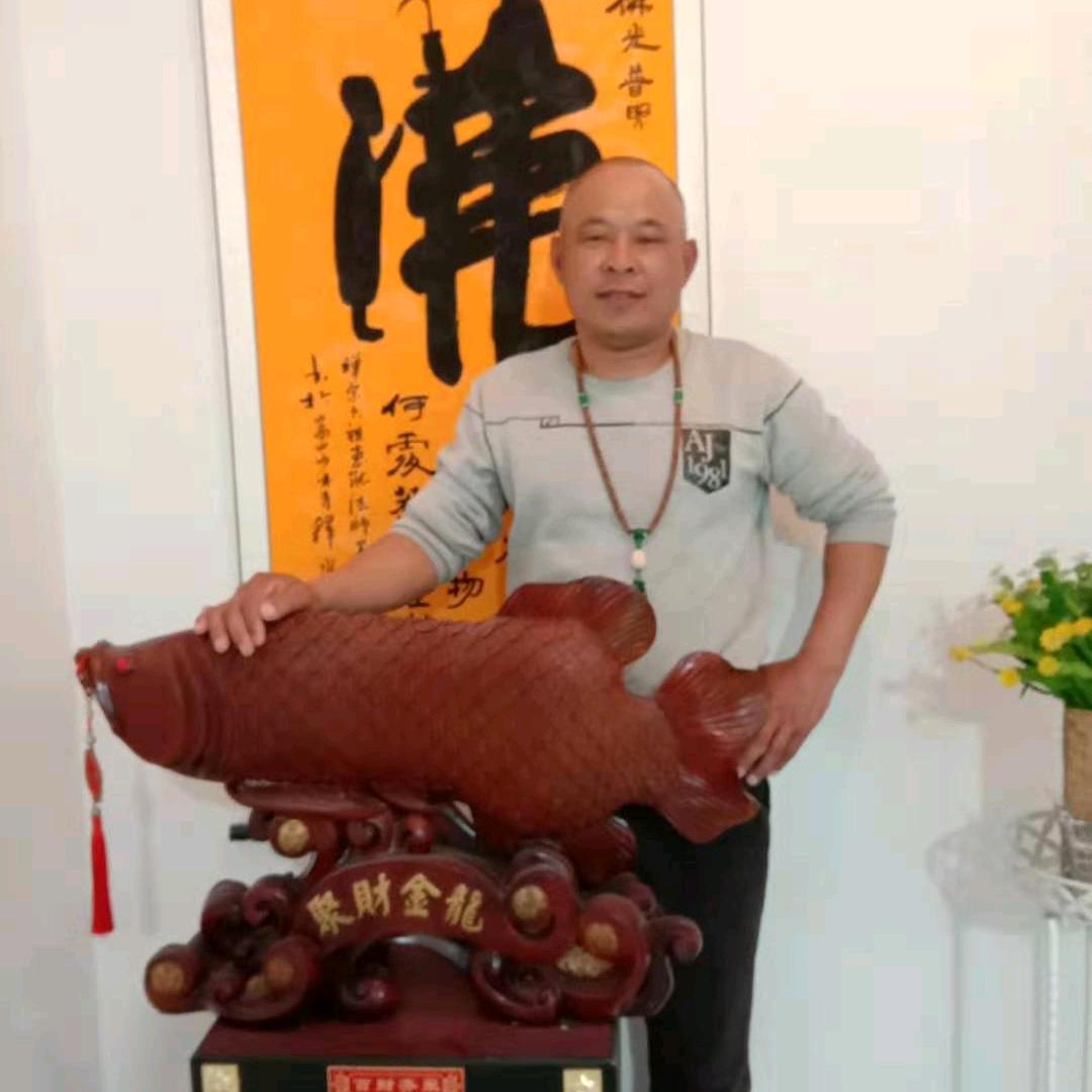 飞天龙
