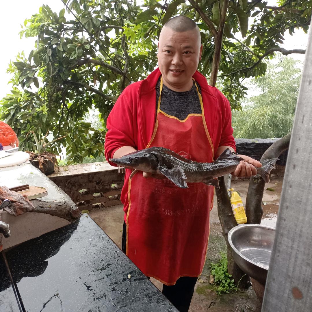 老农民