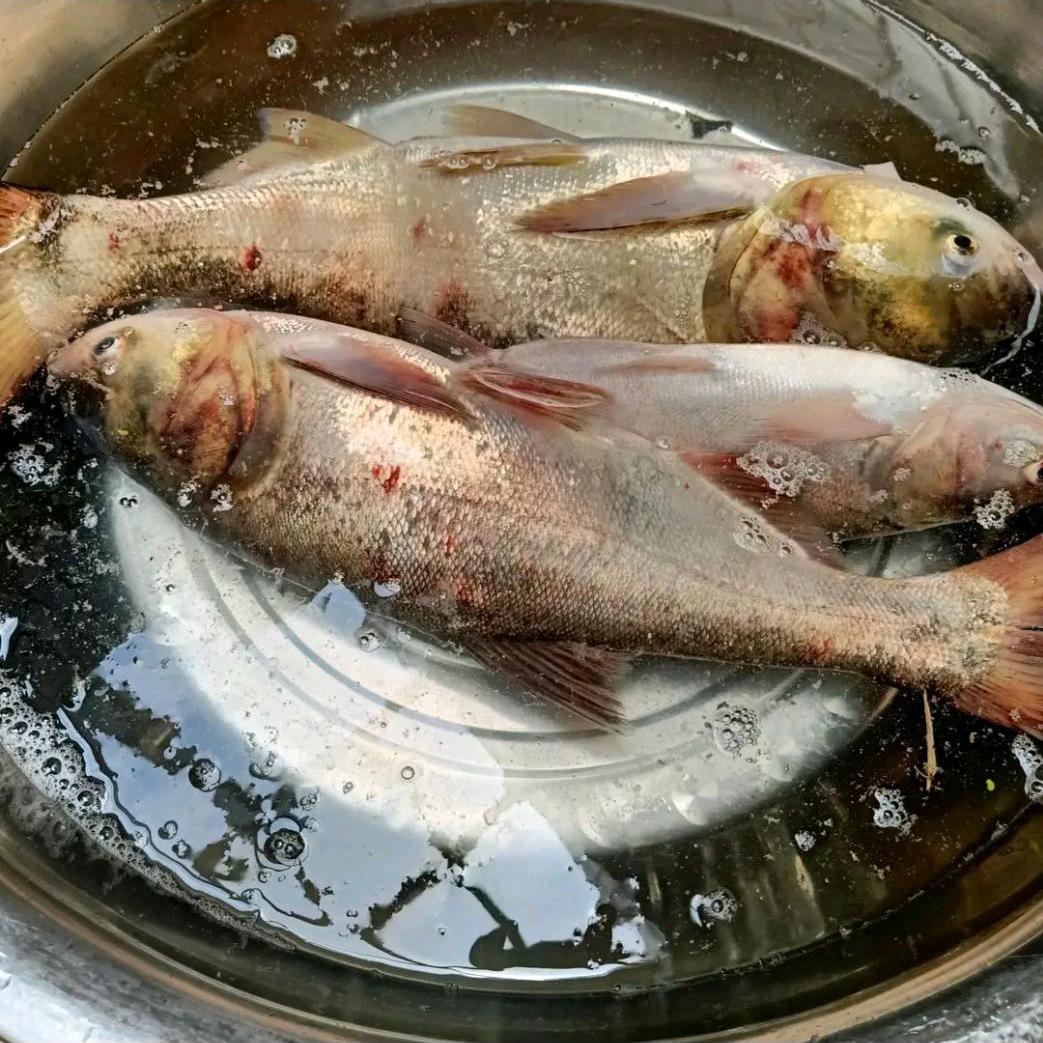 小小帅哥