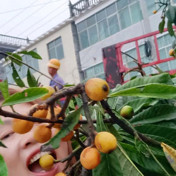 袁姐