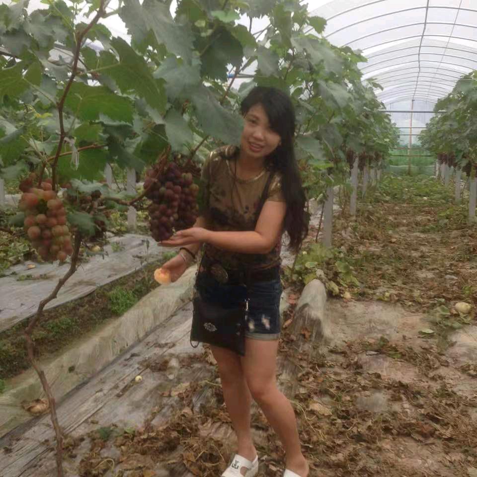 小陈自家葡萄园