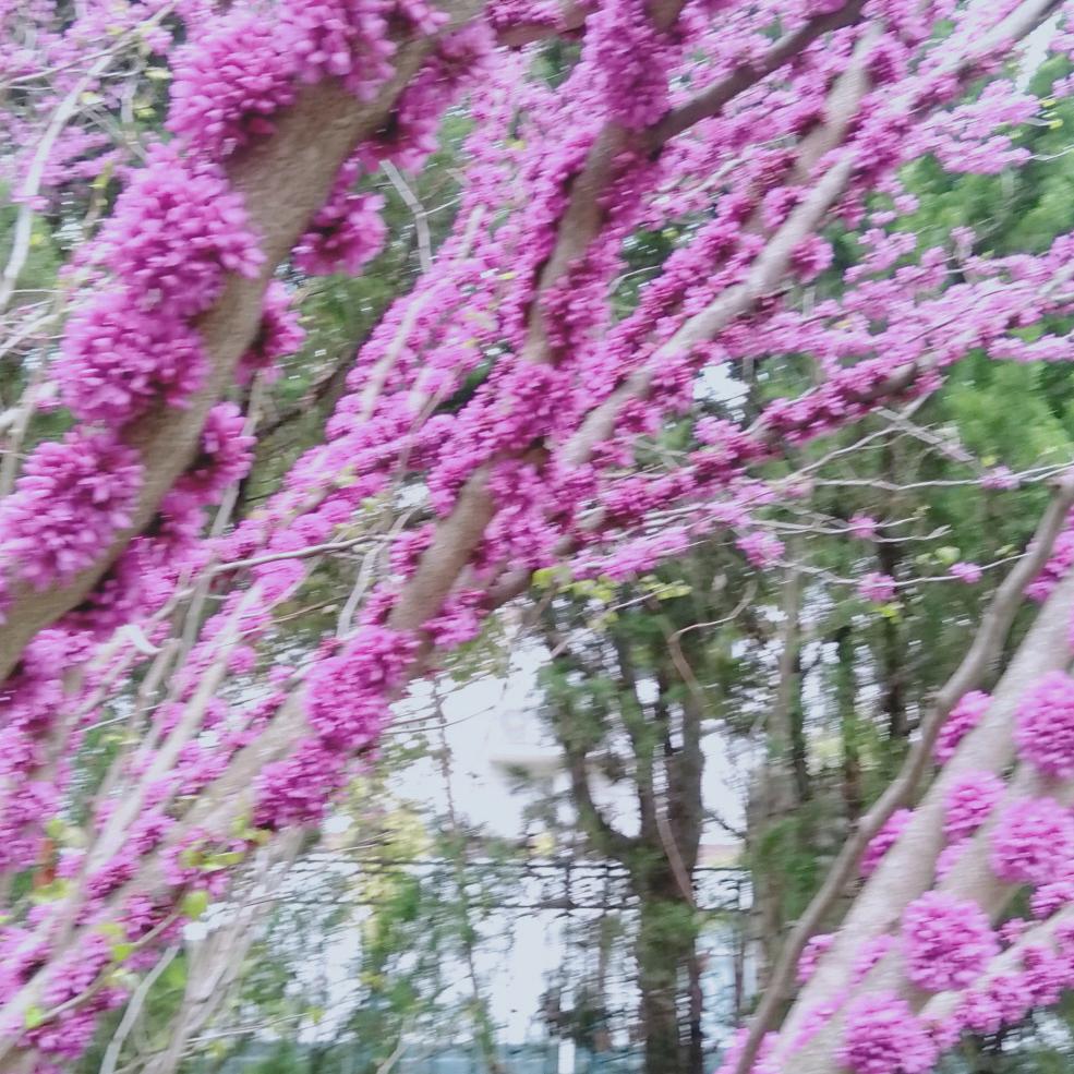 宋疏通维修水管