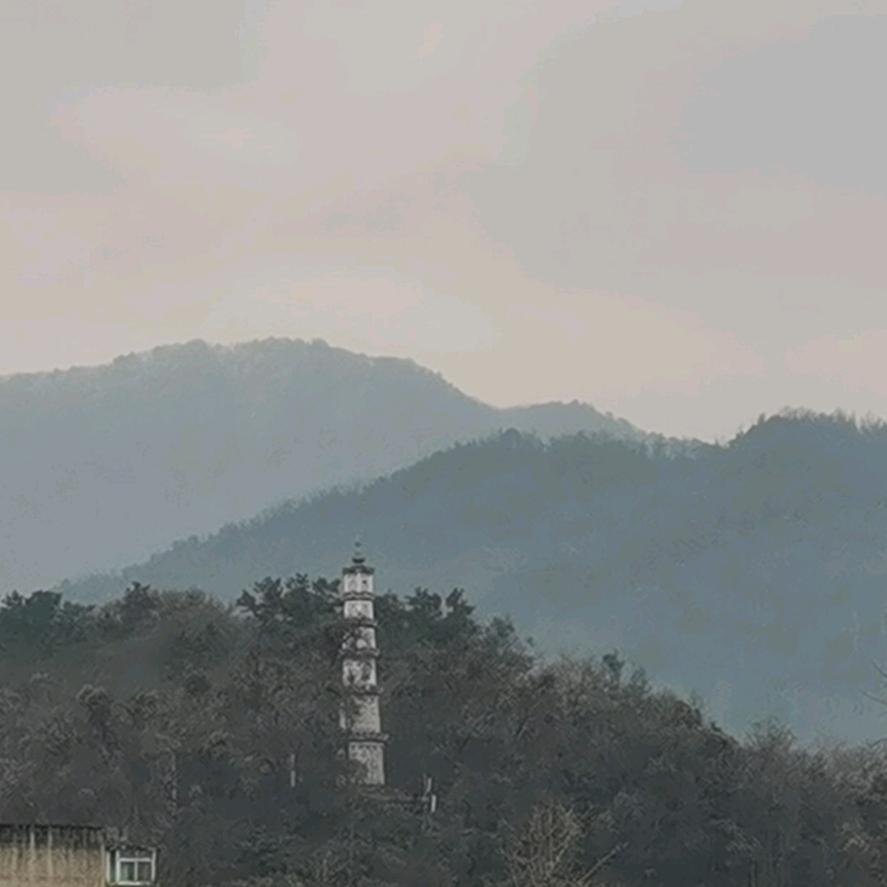 尘埃落定廖红尘