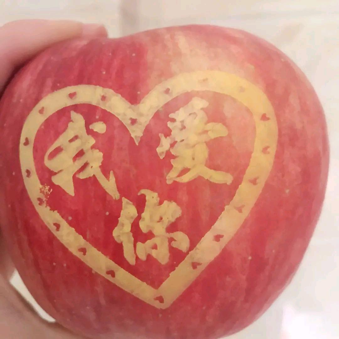 杨了个洋🐑《回族》