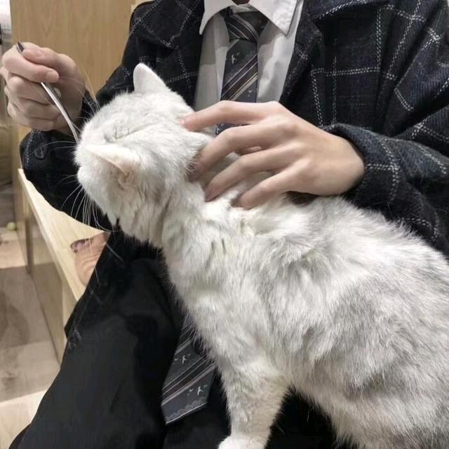 。.