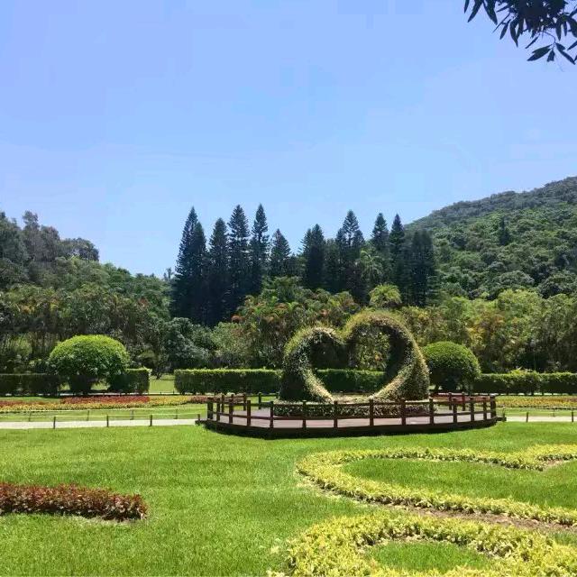 酒后的清醒