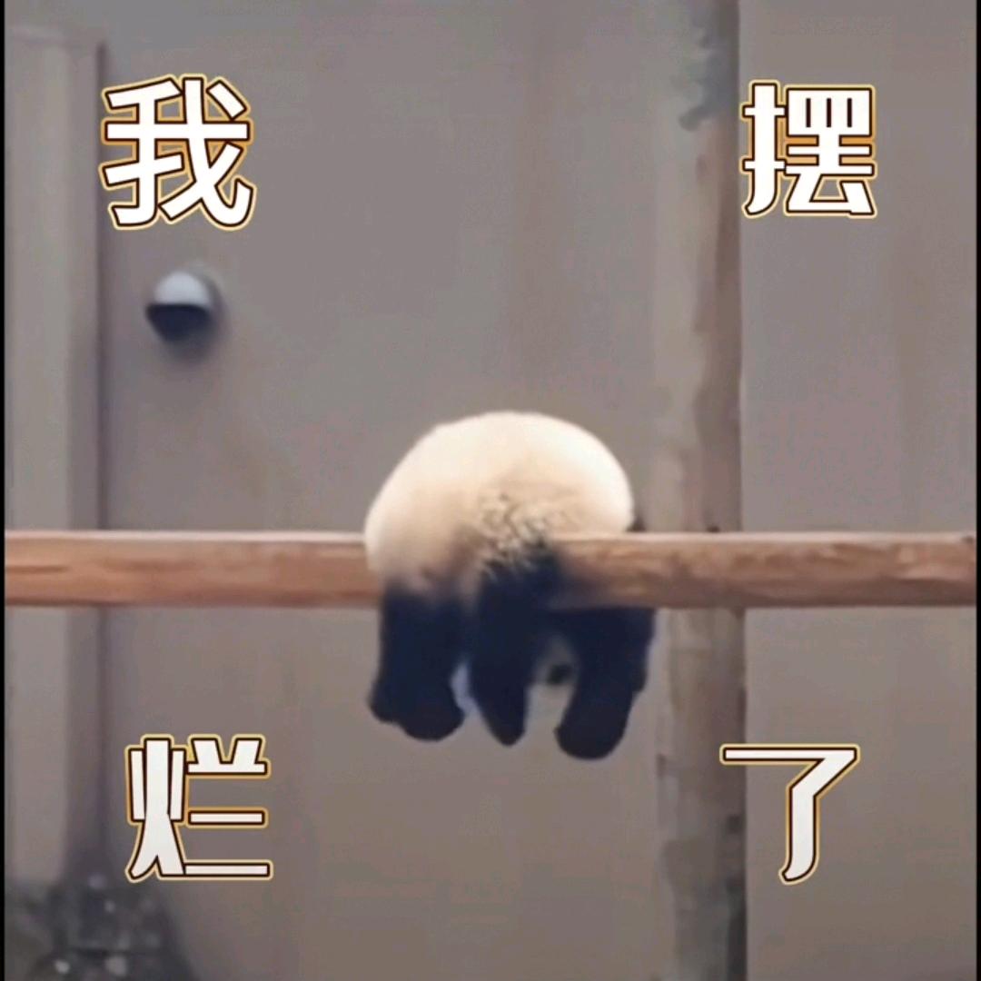 劉子龍