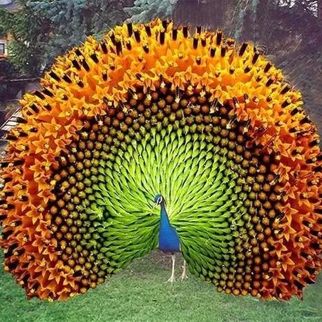 一年更比一年好