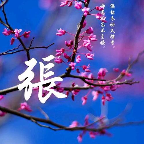珍惜眼前人