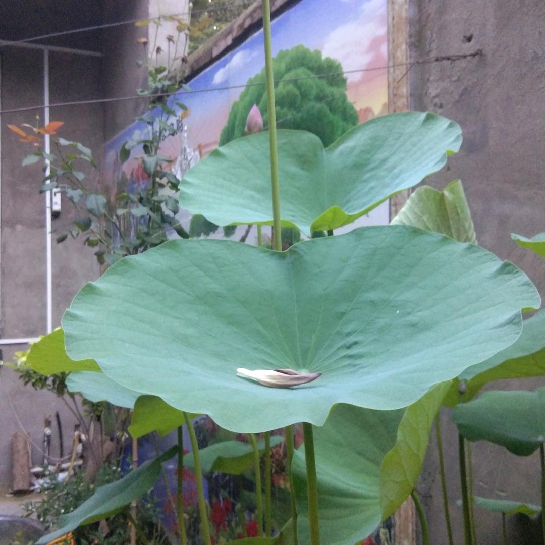 开心一会是一会