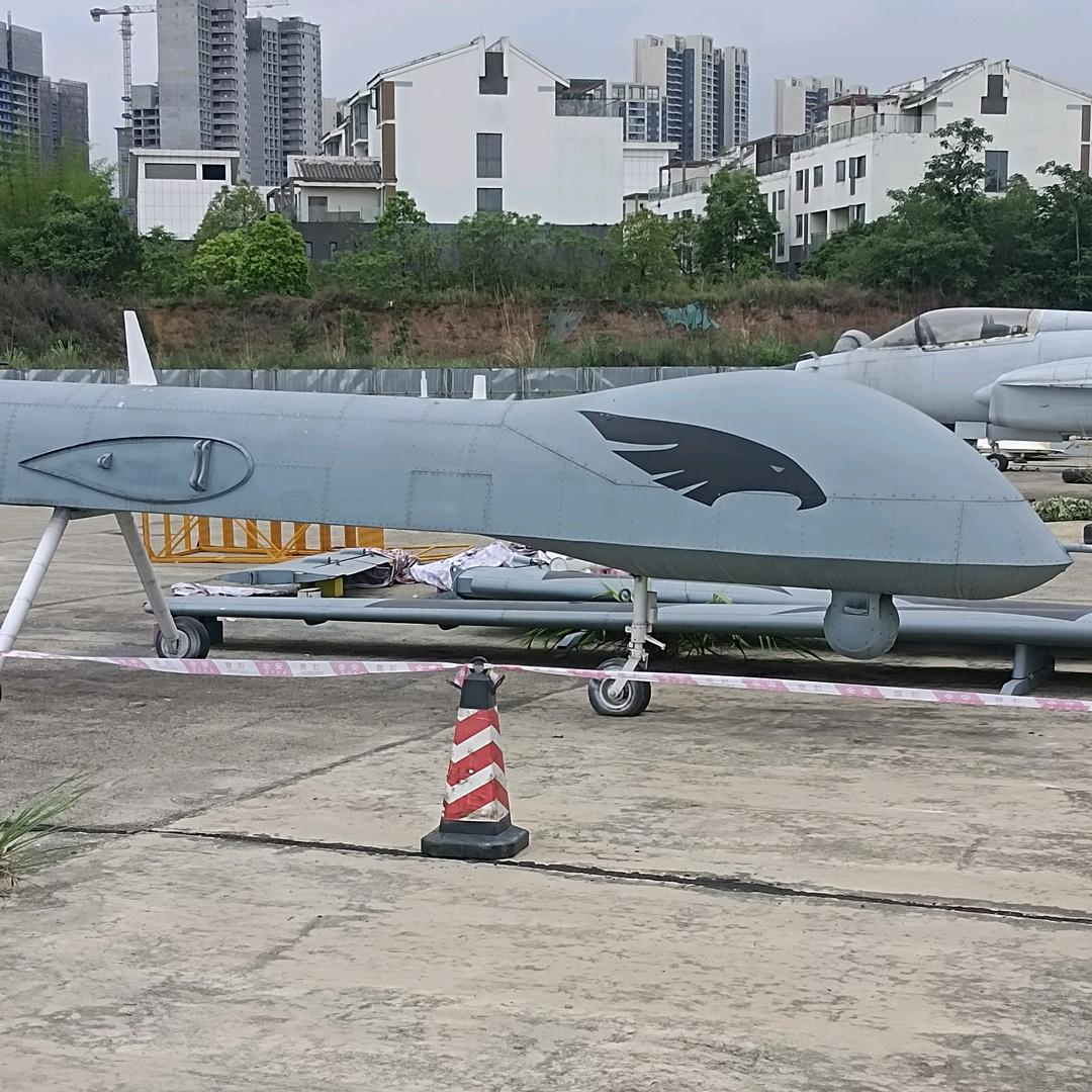 一生只有你