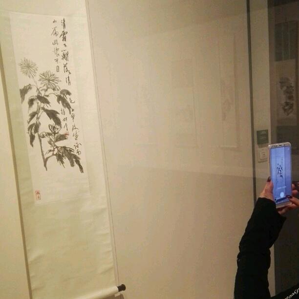 飞花似芹