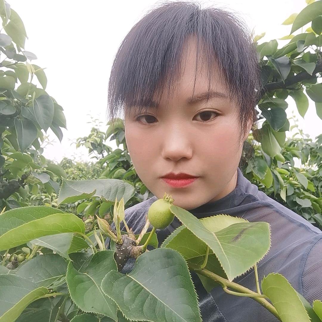 南阳新房二手房英