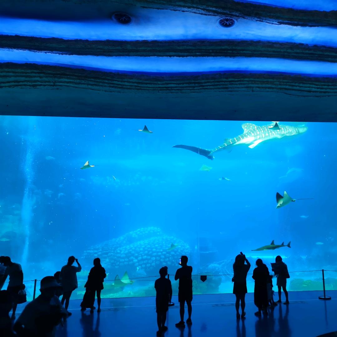 誓言是一时的失言