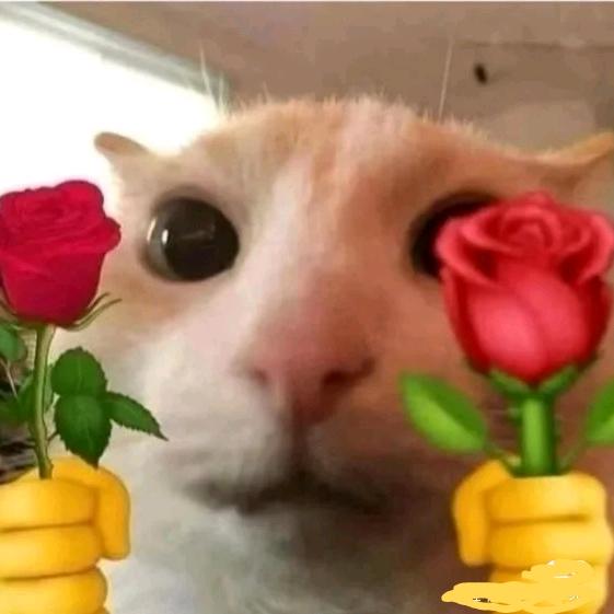 ₍˄·͈༝·͈˄*₎◞ ̑（杭州接妆版）