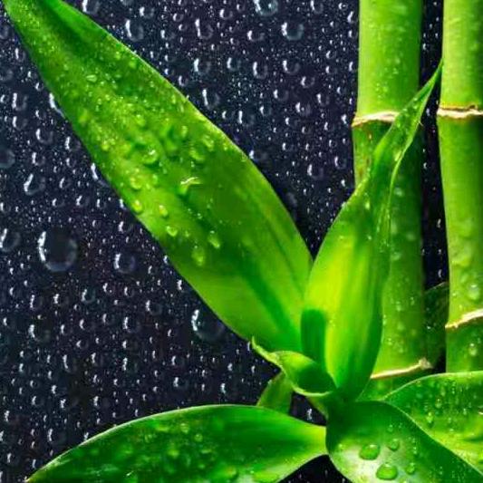 老郑墙地砖批发