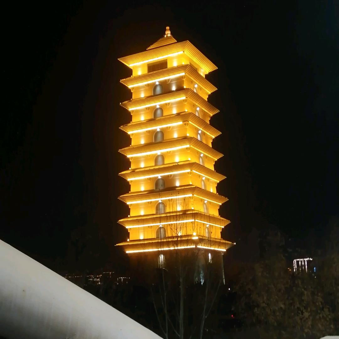 大漠胡杨