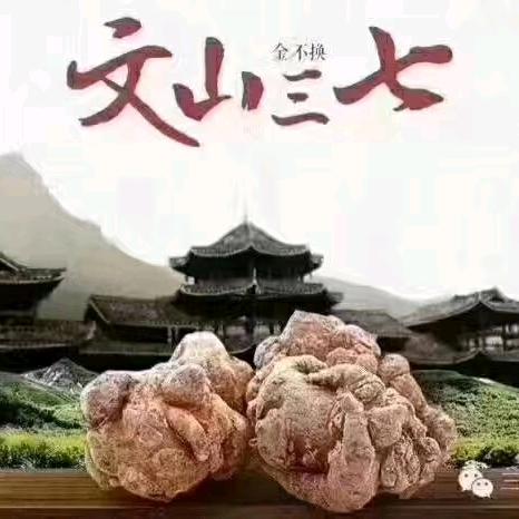 三七大姐
