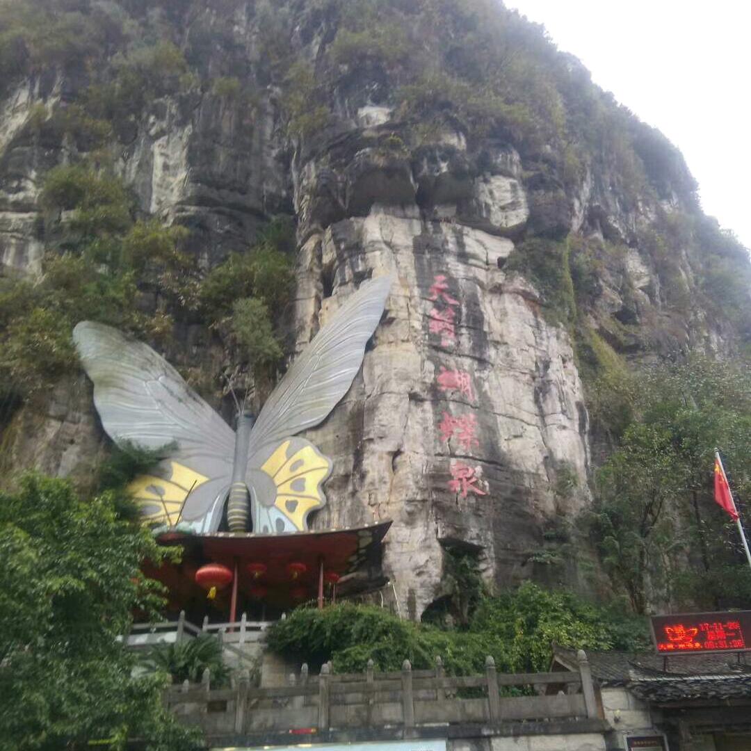 余生随心