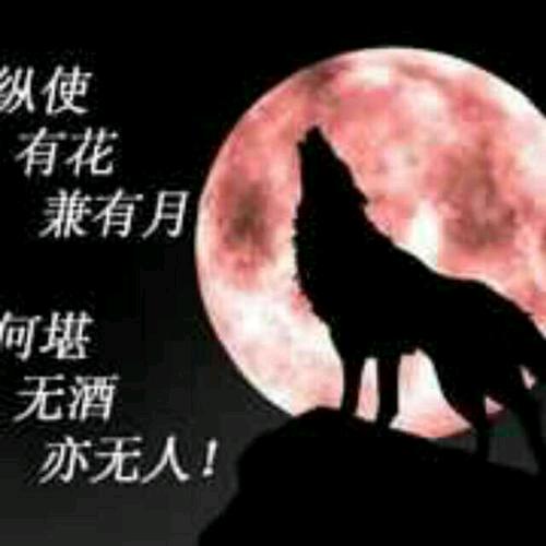 千年孤狼