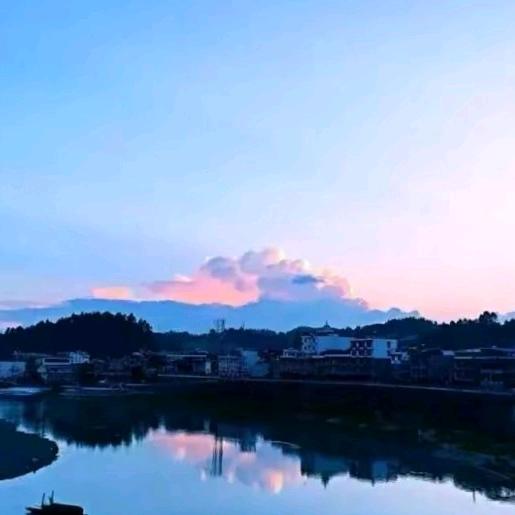 茶田驻村日记
