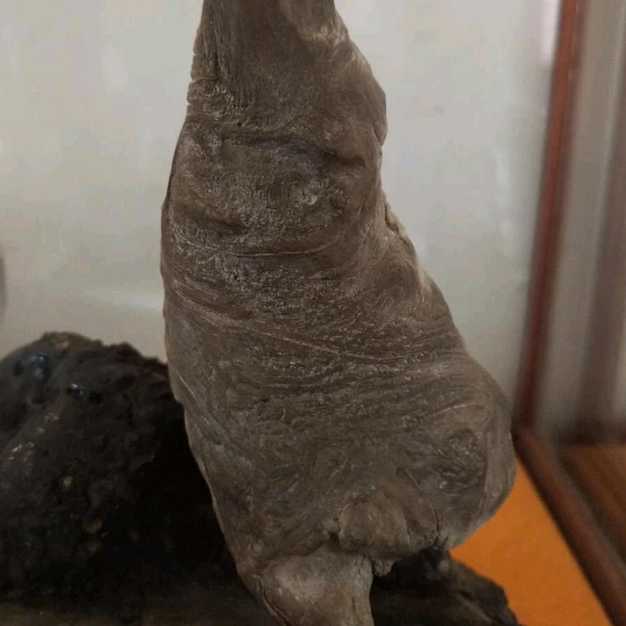 柏石之家