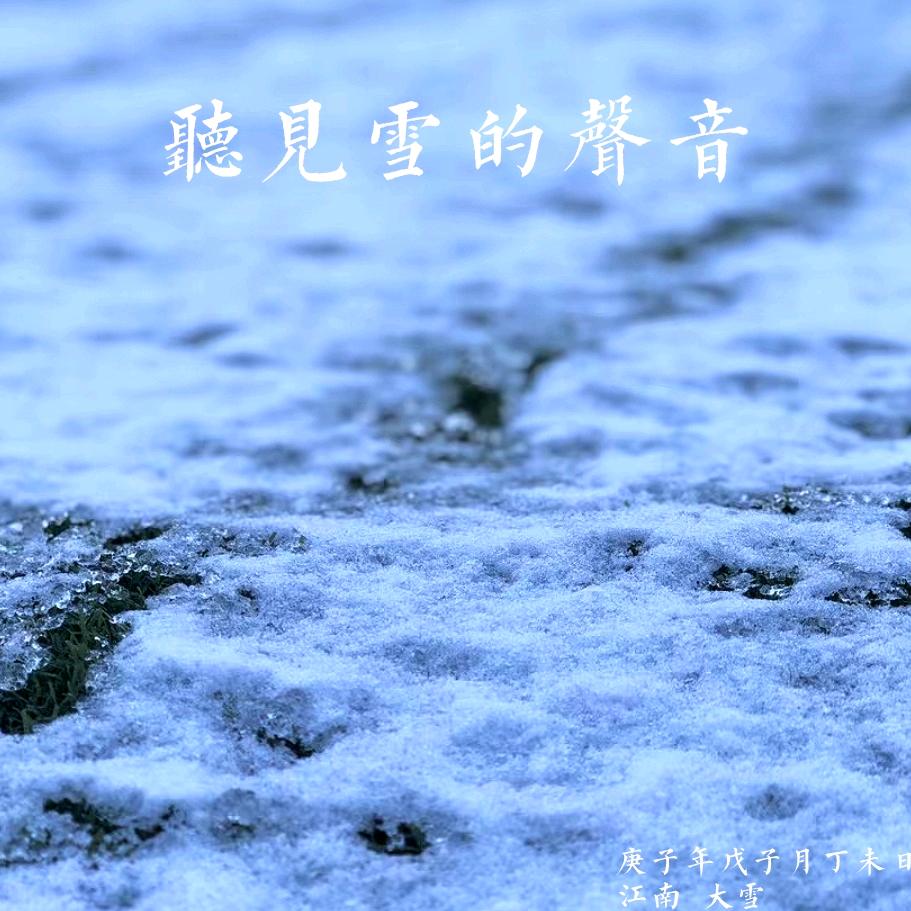 骑骡上雪山
