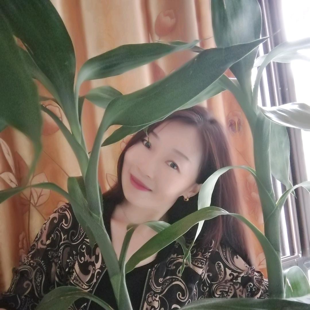 真的风采