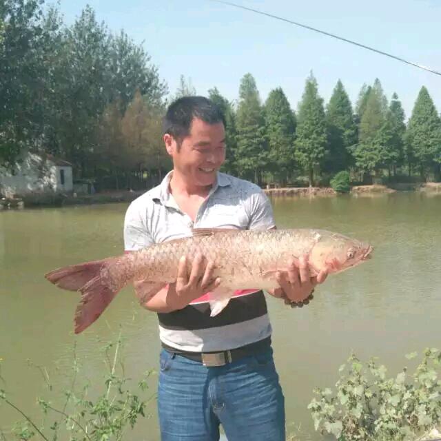 陇西大唐