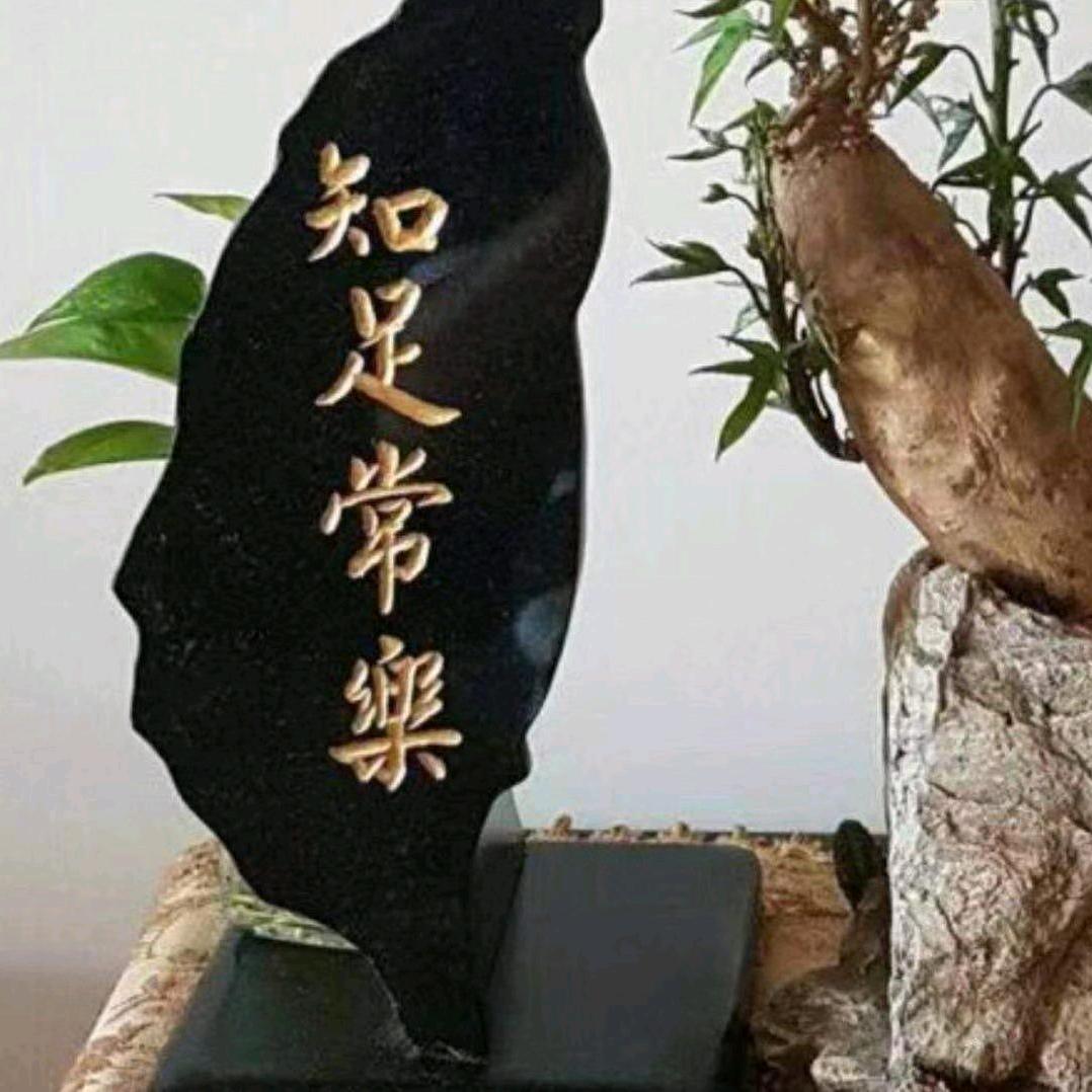 ♥️与你相约