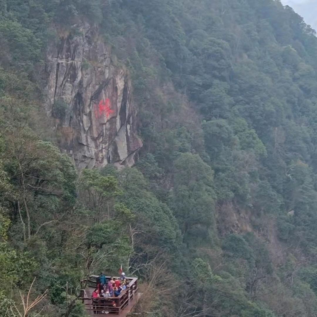自由的monkey