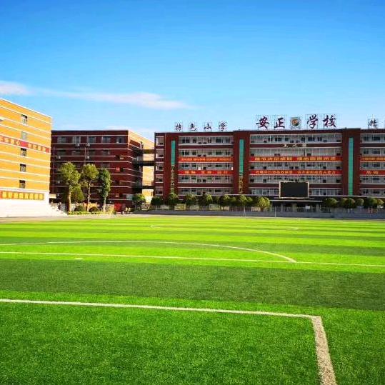 命运由自掌握