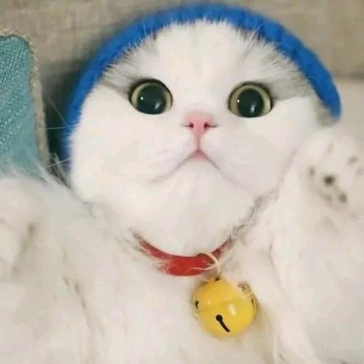 风生水起
