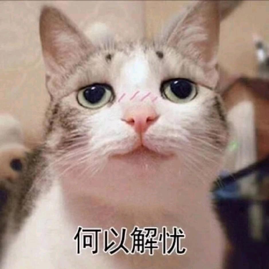 猫猫是神（抖音常驻评论员版）