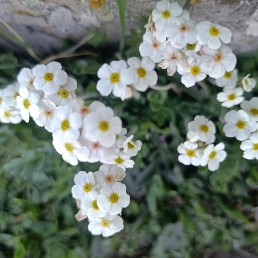 嘉瑞户外桌椅，厂家直销，