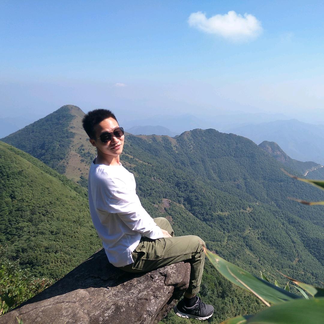 岳鹏